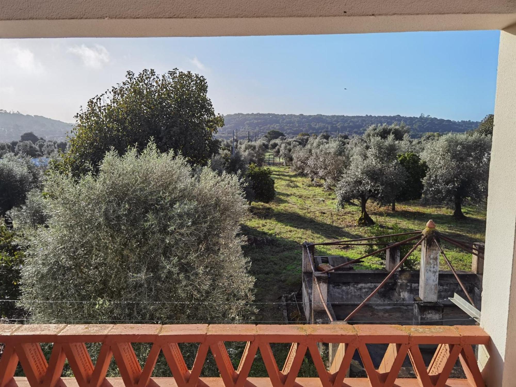 Holiday home Casa Da Papoila Abrantes